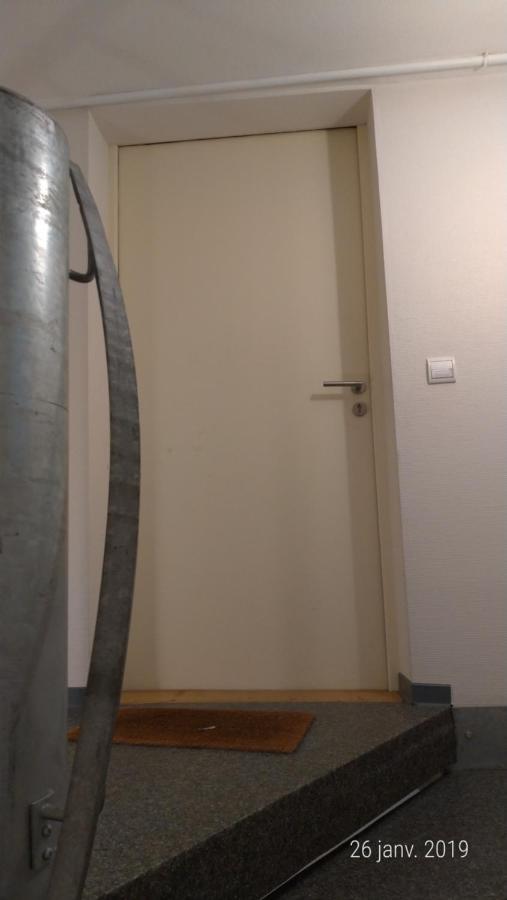 Appartement Au Charme Alsacien Kaysersberg-Vignoble Exterior foto